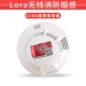 LORA819D Беспроводной огненный дым чувствует
