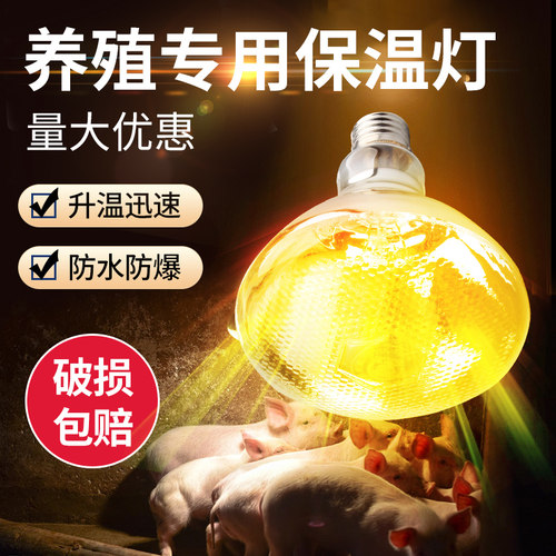 猪博士养殖场保温专用灯泡