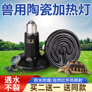 陶瓷加热灯爬虫宠物加热无光灯陆龟蜥蜴晒背保温灯鹦鹉温控夜灯