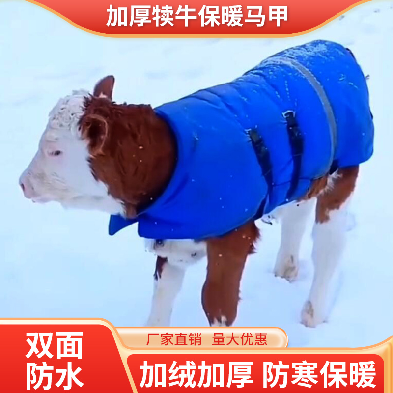 加厚防水加大犊牛马甲