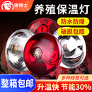 猪博士保温灯养殖场专用猪用小鸡育雏猪场取暖灯养殖加热灯泡烤灯