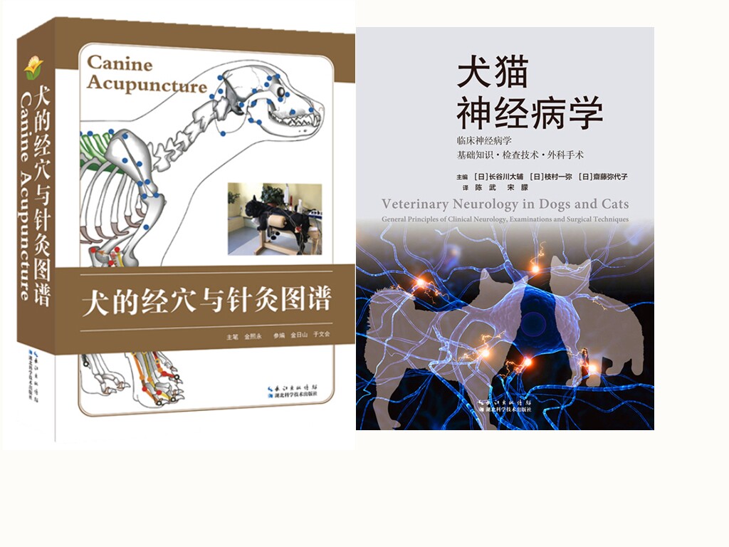 犬的经穴与针灸图谱+犬猫神经病学  套装 两本 小动物临床神经病学基础知识外科手术 犬猫神经内科犬解剖学图谱 犬针灸穴道医学书