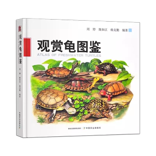 观赏龟图鉴 乌龟养殖书龟书 周婷 陈如江 韩克勤 龟科图集 观赏龟发展趋势 观赏龟养殖技术书 中国农业出版社 9787109305786