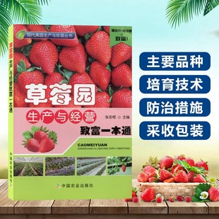 草莓园生产与经营致富1本通 草莓育苗栽培管理栽培新技术现代农业书籍大棚草莓种植技术 现代果园生产与经营丛书 草莓贸易概况
