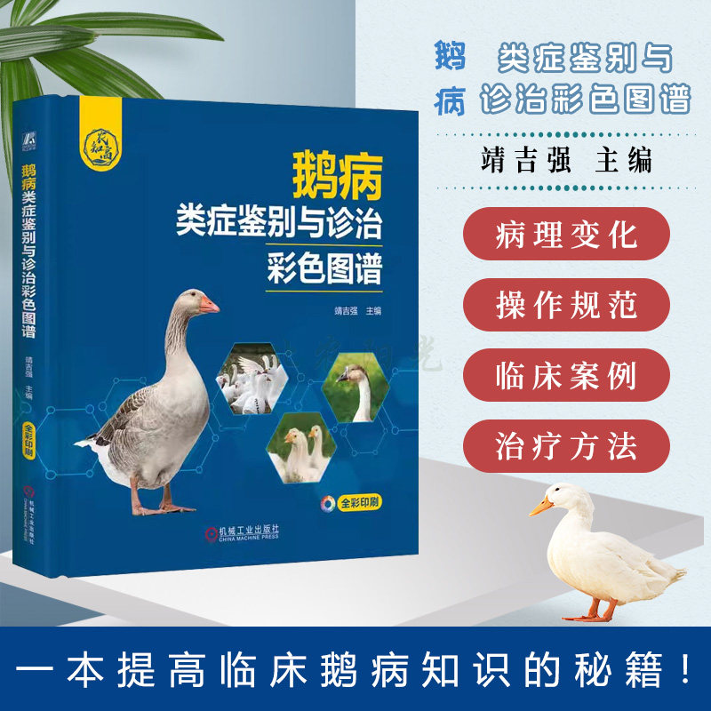 鹅病类症鉴别与诊治彩色图谱 靖吉强 编 消化系统疾病鉴定诊断 细菌性疾病 产蛋率 病毒性疾病 机械工业出版社 9787111746034 - 实物图