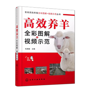 高效养羊全彩图解+视频示范 扫码看关键技术视频示范 羊品种选育指南 绵羊山羊饲养管理 羊病防治 化学 工业出版社9787122437853