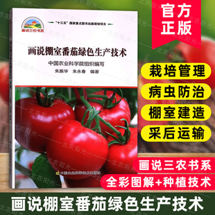 画说棚室番茄绿色生产技术  番茄种植技术与病虫害防治技术番茄栽培书籍 农业种植技术书番茄选苗育苗高效栽培番茄技术图书