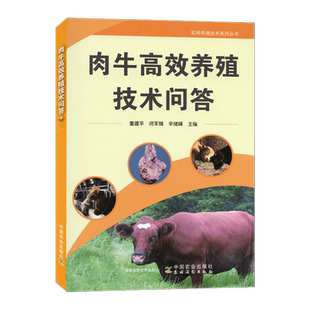 肉牛高效养殖技术问答 肉牛养殖书籍 肉牛养殖 牛场环境建设饲草饲料开发牛杂交繁殖牛饲养管理牛场安全牛疾病防治书籍