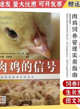 肉鸡的信号养鸡图书籍