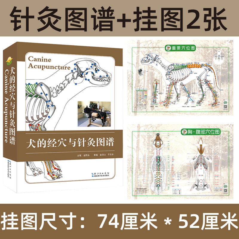犬的经穴与针灸图谱+犬的重要穴位图 套装 犬针灸图谱 犬穴位图 宠物医生书籍  小动物医学书 犬类针灸技术 犬针灸工具书