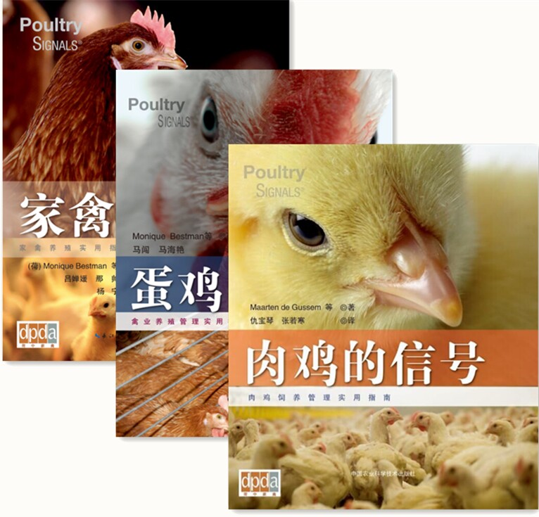 家禽的信号+蛋鸡的信号+肉鸡的信号 三本套装 家禽饲养技术蛋鸡肉鸡饲养养殖书籍 养鸡指导书籍 工具书 禽类指导养殖书籍北农阳光
