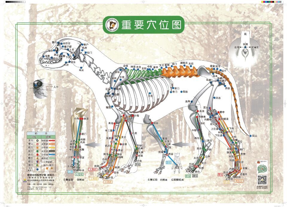 成品：长78厘米，宽52厘米