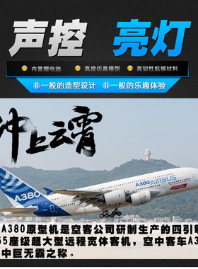 仿真飞机模型空客A380带灯带轮