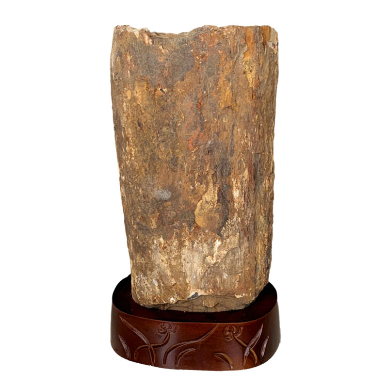 天然树化石摆件 木化石 树化玉木化玉硅化木 原石家居办公摆饰