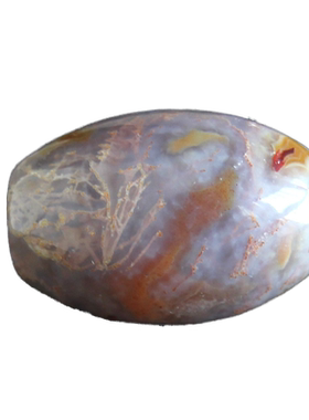 吊坠路路通项链珊瑚化石