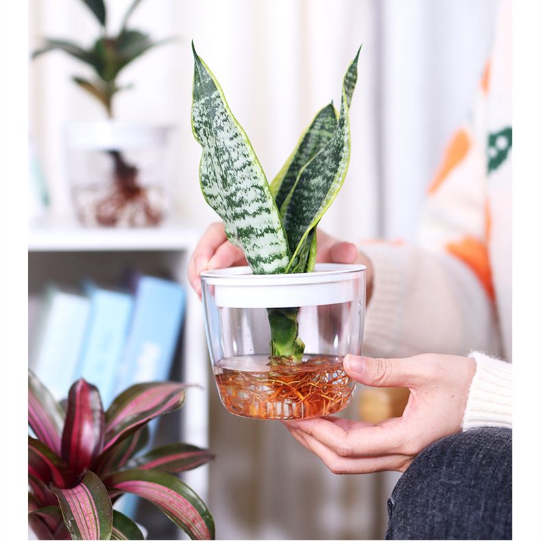 PPAS塑料水培花盆简约时尚