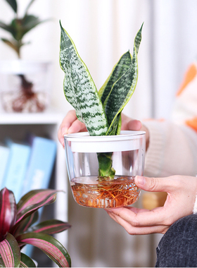 新款全透明水培插花瓶无土栽培塑料树脂懒人吸水绿萝种植储水花盆