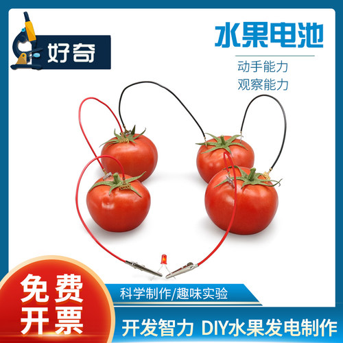 水果电池实验材料铜片益智玩具