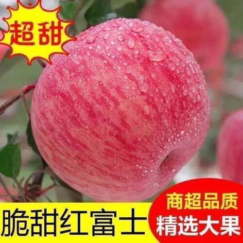 山西运城临猗富士苹果新鲜当季现摘脆甜多汁80-90MM净重8.5斤