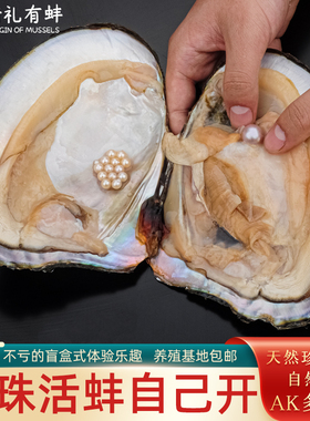 天然淡水AK组合珍珠蚌活蚌AK单珠多珠蚌自己开河蚌珍珠蚌diy手工