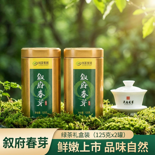 天府龙芽叙府春芽明前特级绿茶川茶集团高山云雾新茶品质好茶250g