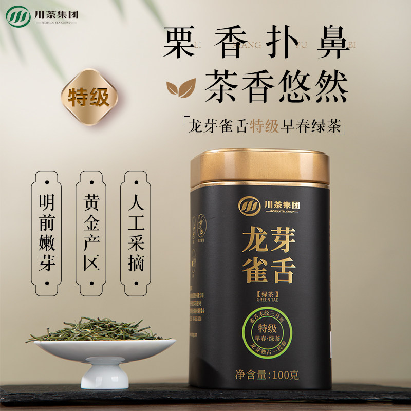 川茶集团2026年龙芽雀舌毛尖特级茶叶实心芽四川高山有机茶园绿茶