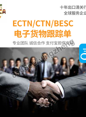 代办CTN电子货物跟踪单ECTN加纳BESC非洲物流货物跟踪单有效清关