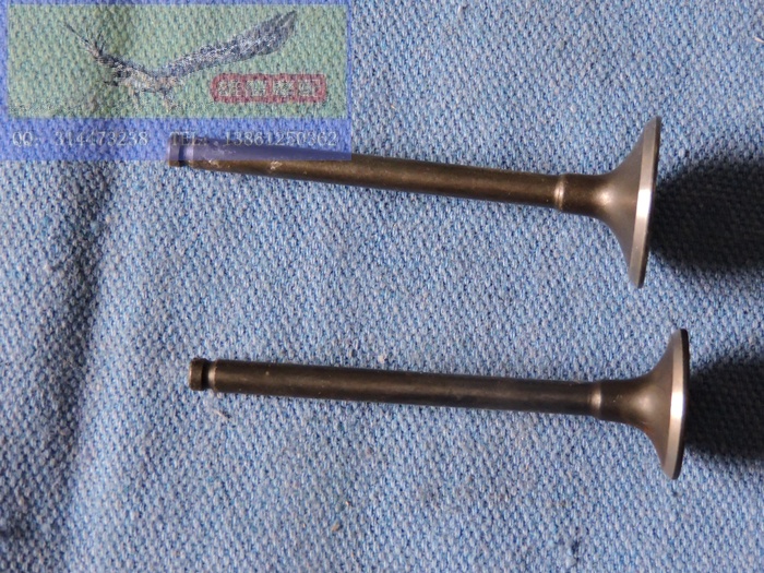 雅马哈摩托车配件L/JYM110-2/3/A/B汽门杆C8禧发F8气门i8