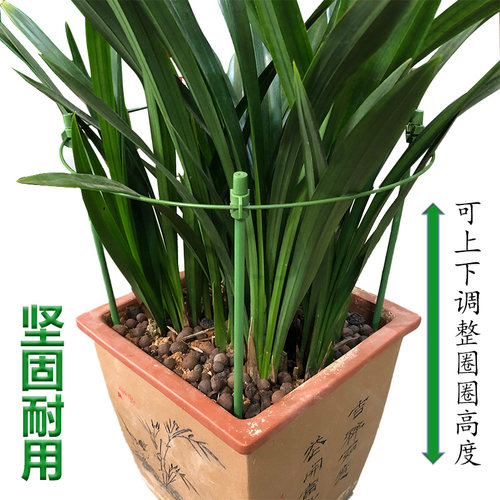 蟹爪兰花支架子一层护芦荟加粗