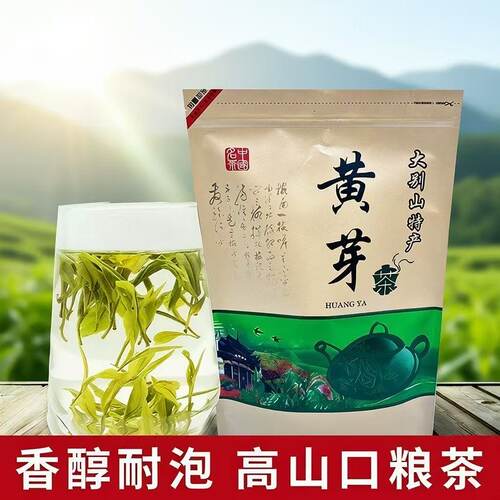 正宗霍山黄芽2026年新茶口粮茶