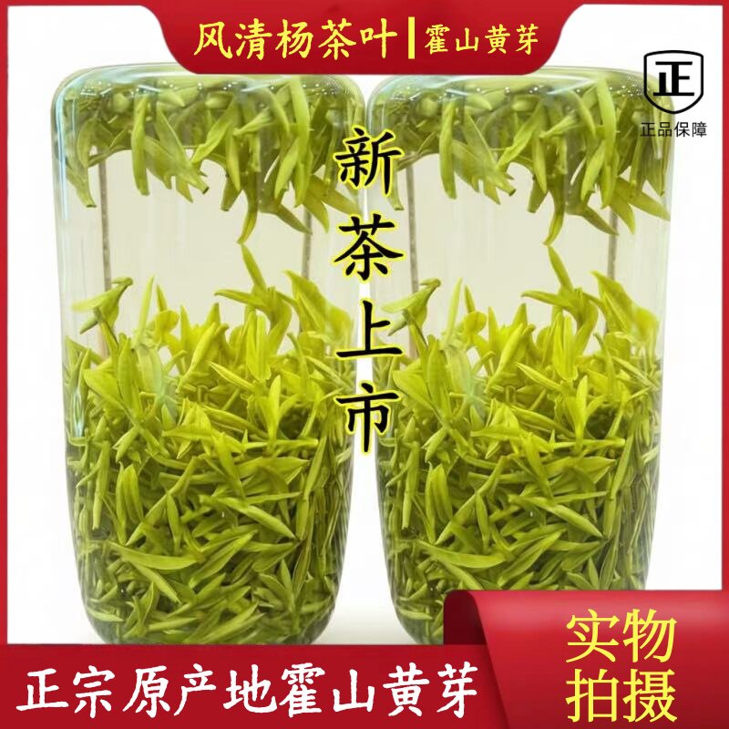 正宗霍山黄芽2026年新茶明前安徽六安茶叶高山特产黄汤茶毛尖嫩芽