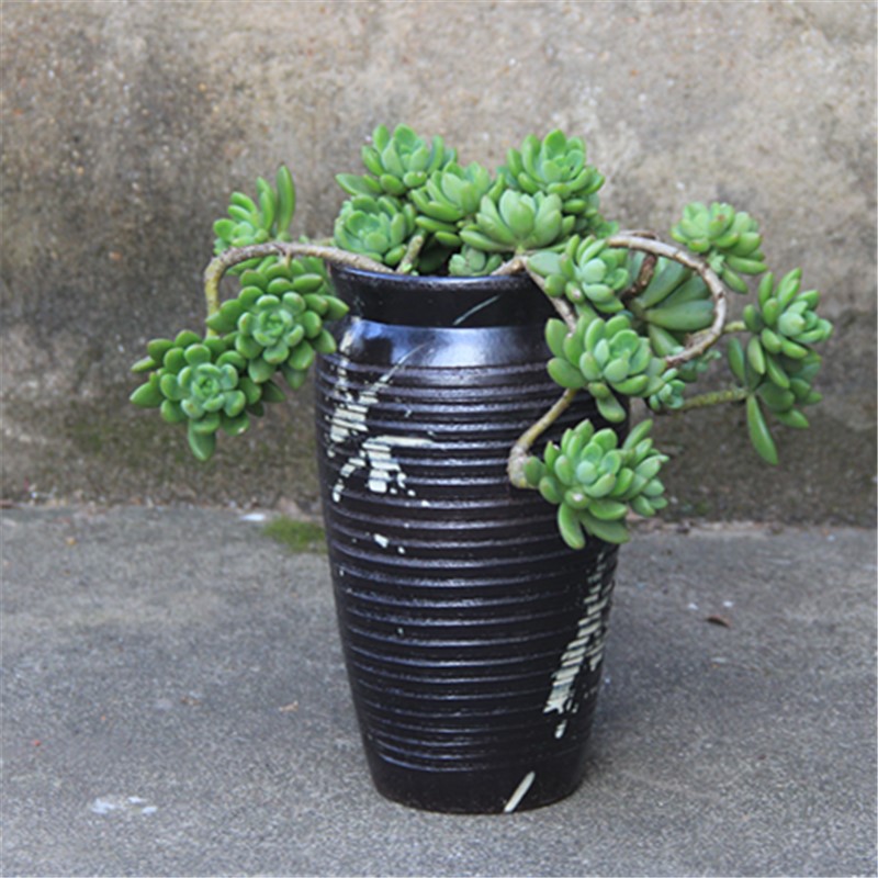 降价多肉绿植花盆古典粗陶