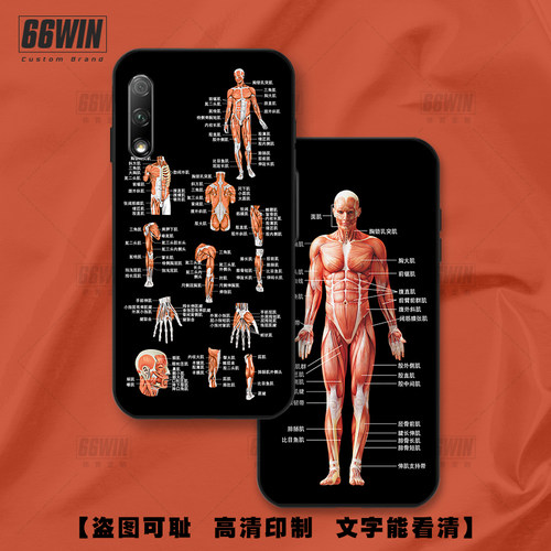 健身瑜伽运动肌肉分布图手机壳