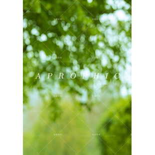 室外风景虚化光圈拍照背景布春天直播拍照背景纸阳台绿色风景布置