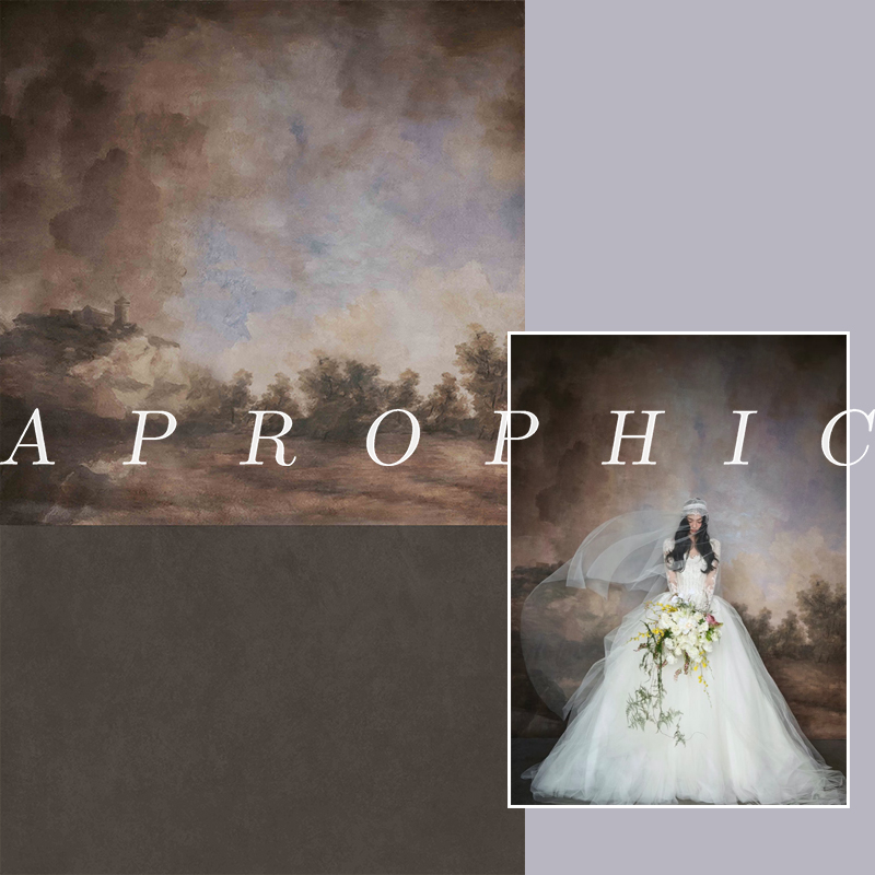 新款复古油画背景婚纱室内油画拍照背景布韩风婚纱油画拍照背景纸