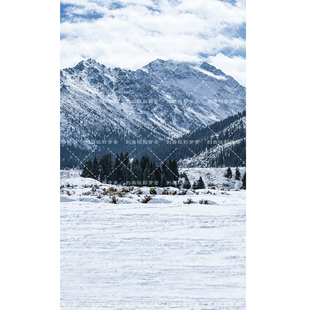 我的阿勒泰雪景拍照背景布商拍雪山山脉冬季服饰直播拍照背景纸