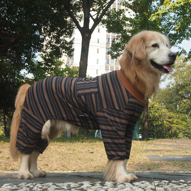 柴犬金毛条纹衫棉中大型犬四脚衣