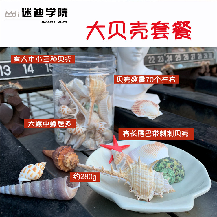 【流体画贝壳沙子装饰】天然大中小贝壳海螺海星沙滩全店满59包邮