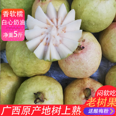 抢！软糯奶油芭乐5斤装