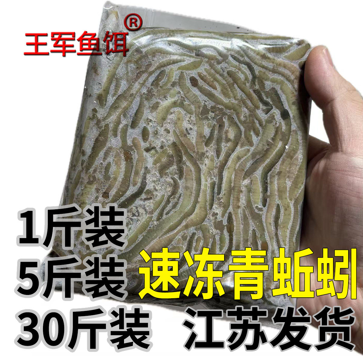 速冻蚯蚓冰冻黑蚯蚓青蚯蚓臭蚯蚓下笼子黄鳝饵料养殖王军鱼饵