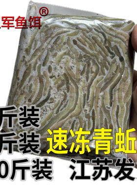 江苏发货速冻青黑蚯蚓王军鱼饵