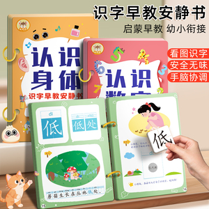 识字书幼儿认字启蒙早教安静书儿童识字卡片全套幼儿园宝宝认知