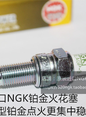 大运200 LATTE 天錾R 天錾X DY200 劲錾200摩托进口NGK铂金火花塞