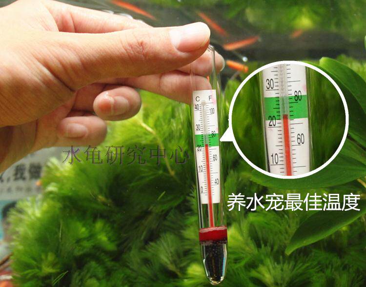 鱼缸温度计高精度水族箱潜水玻璃水温计乌龟缸专用测水吸盘温度计