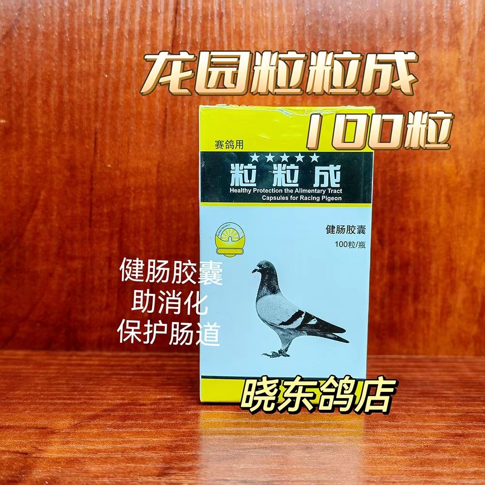 上海龙园鸽药粒粒成健肠胶囊100粒调节肠道菌群益生活菌粪便成型