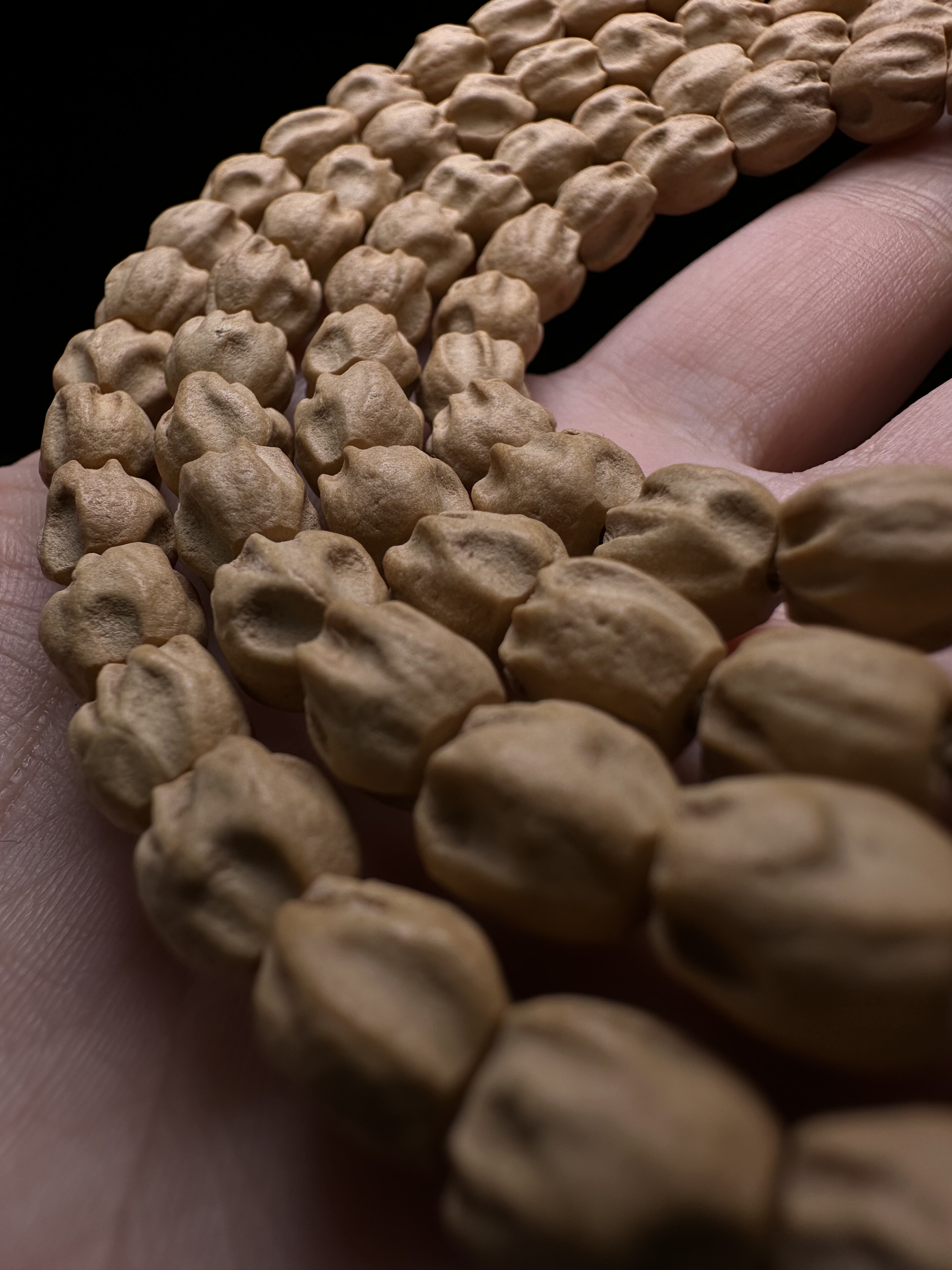 热振百香籽直切白芽粉油皮玉化皮矮桩顺纹干净鬼脸108长串文玩23