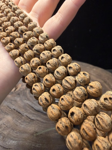 H热振柏香籽红芽红油皮铁籽深坑鬼脸尸陀林麻皮高油密藏区味长串