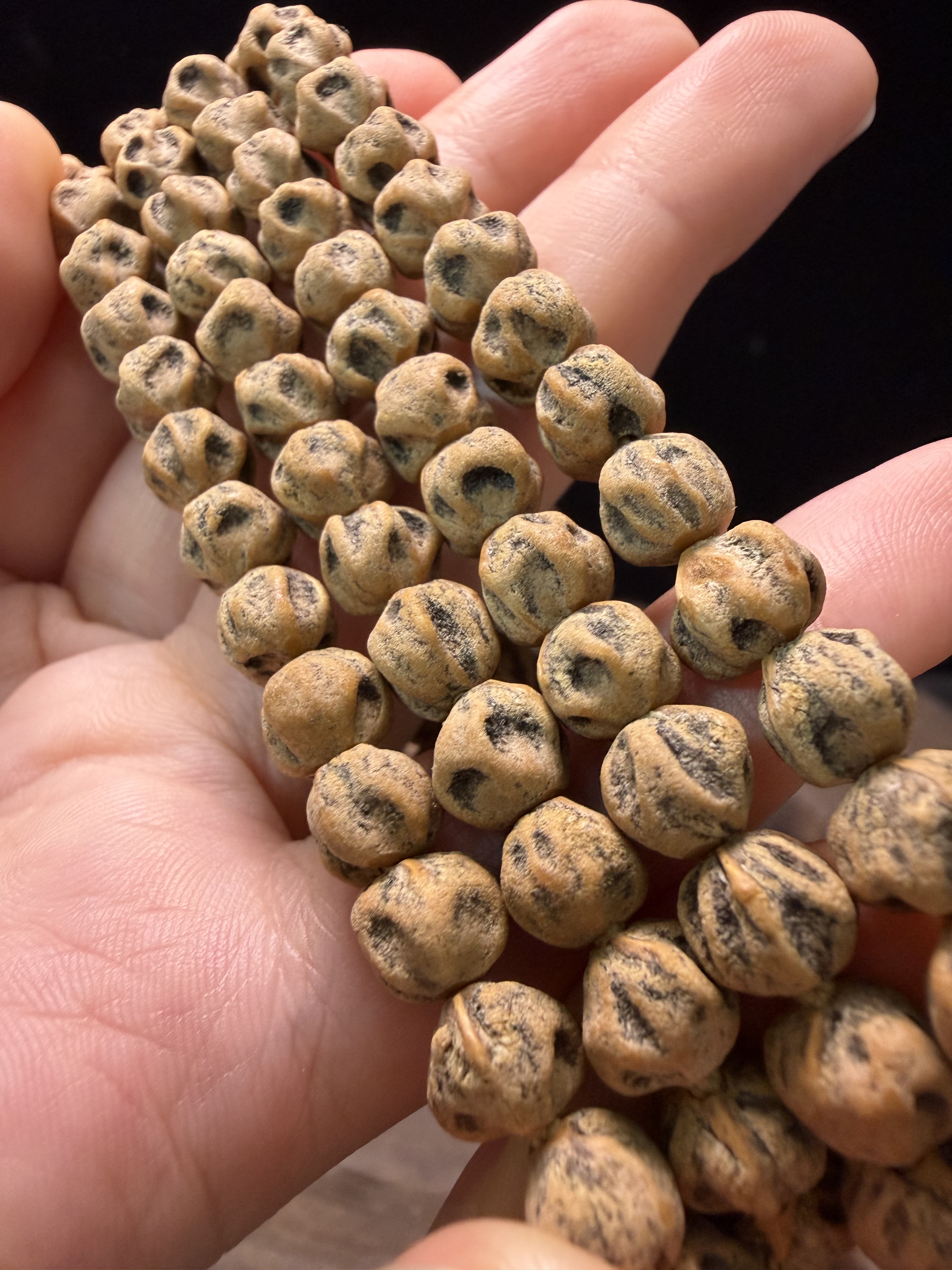 H热振柏香籽微切红芽尸陀林莲花多棱龙脊鬼脸老树铁籽红油皮压手