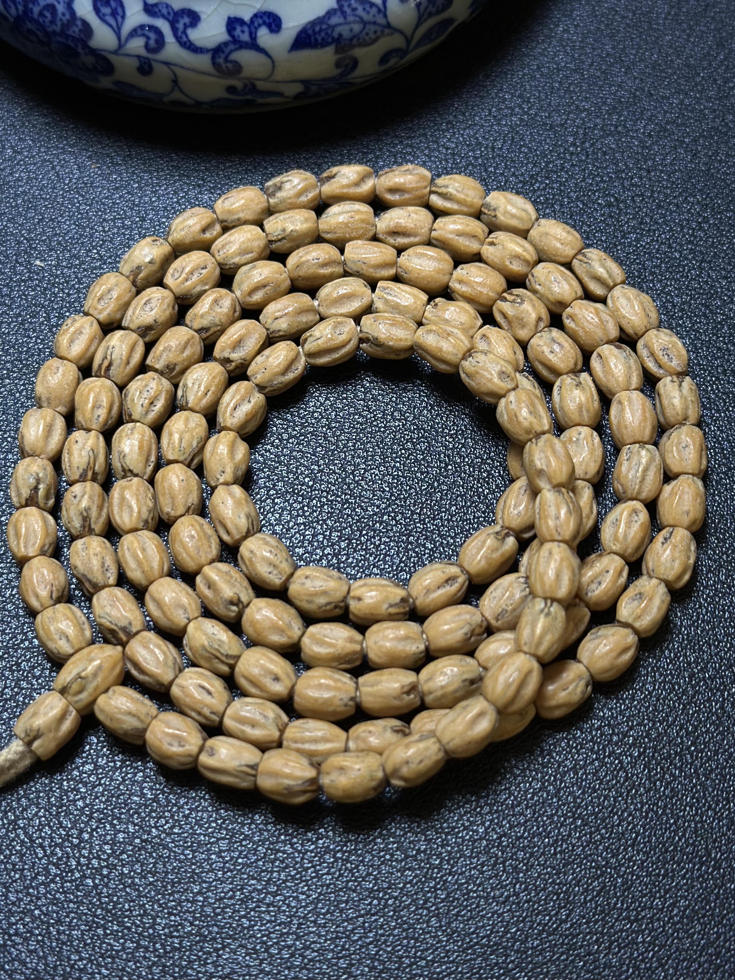 热振柏香籽高桩红芽小长腿顺文红油皮密度高N