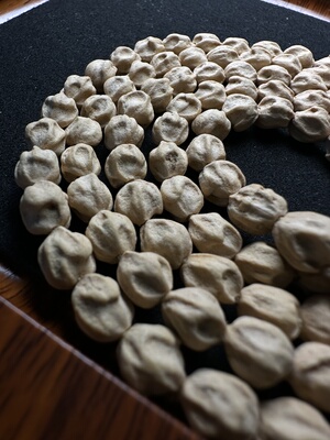 热振百香籽原桩干净鬼顺纹深坑粉皮玉化皮龙脊粗棱文玩长串毕业款